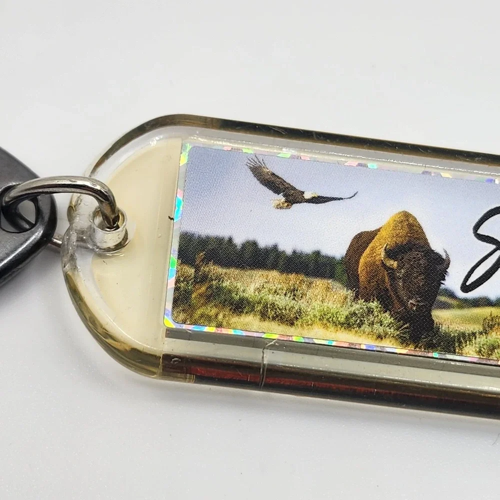 Vintage South Dakota Bison Eagle 